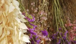 ドライフラワー 【大阪市内の手作り体験 ワークショップ】