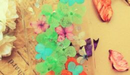 大阪　iPhoneケース