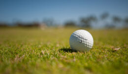 ゴルフボール