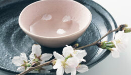 日本酒　桜