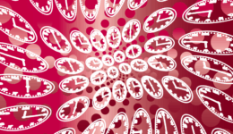 タイムトラベル