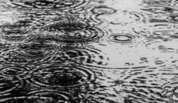 publicdomainq-0013713oya