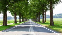 GAK82_metasekoianamiki_TP_V