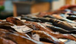 fish-market-3408397_1920