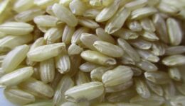 rice-2351272_1920