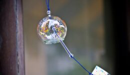 PPP_maruihuurinn_TP_V