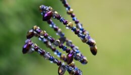 beads-809385_1920