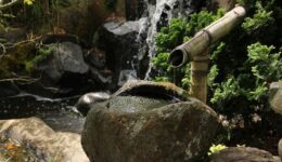 japanese-garden-437289_1920