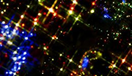 PPO_hikarikagayakuirumine-syon_TP_V