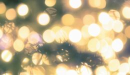 ILL151201233245_TP_V