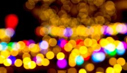 PPH_irumine-syonboke_TP_V