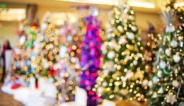 christmas-trees-1823943_1920