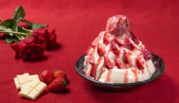 6149a48c254653356dd5dbe5ed4256a1