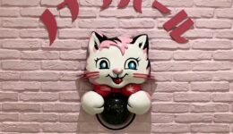 51866225_191153848511941_2513979016815459217_n