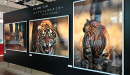 1ebedb0e800dd661c60687e393c87720