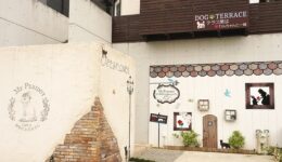 d13389-222-254574-11