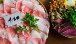 utnjxeyjmtaglborasvk