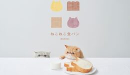 03ZbI7dKLTUaMCNEBHEB