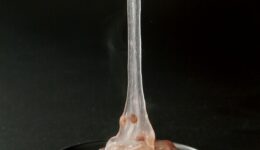 7c7e2342a94f37370db4a987f1012cff