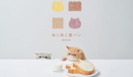 nZtZUOqw8htGajUMD50m