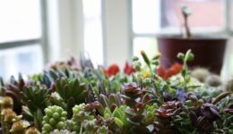 image_123650291 (23)