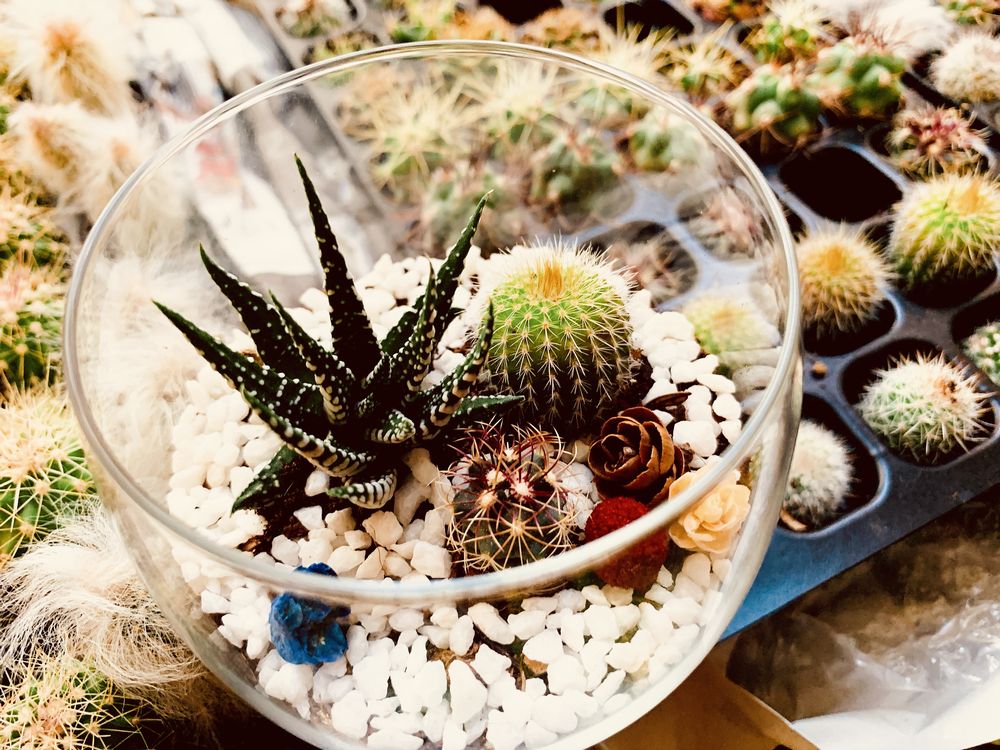 cb5548b72789107af1ce6a83ddea1628